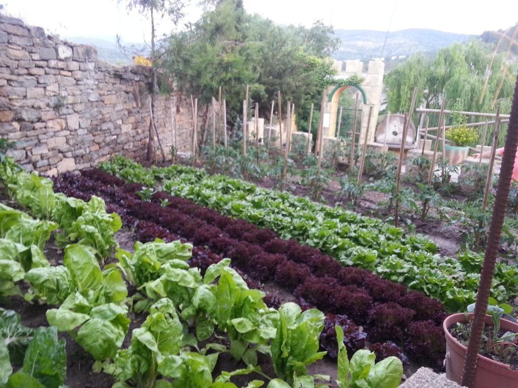 Las Bodegas De Claveria El Humo de Muro Dış mekan fotoğraf